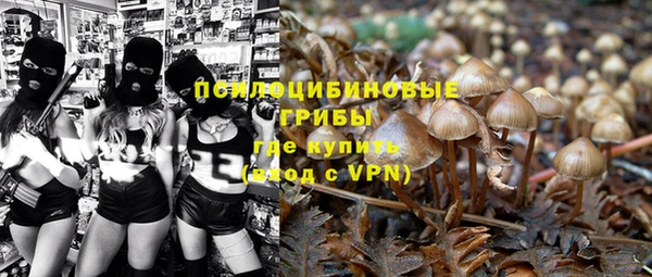 таблы Вяземский