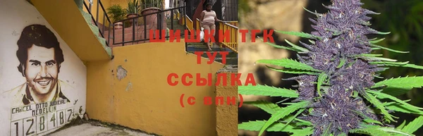 таблы Вяземский